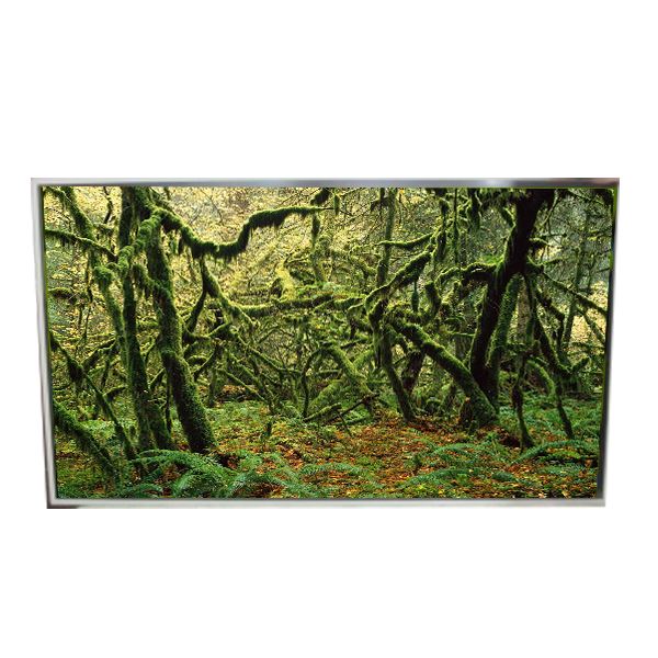 LD49 di alta qualità 0 Epy-shp 1 49. 0 pollici 1920*1080 Schermo LCD