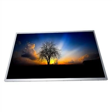 Display LCD da 22,0 pollici per schermo LCD CMO M220J1-L01