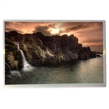 LQ101K1LY05 1280*800 10.Pannello schermo LCD da 1 pollice