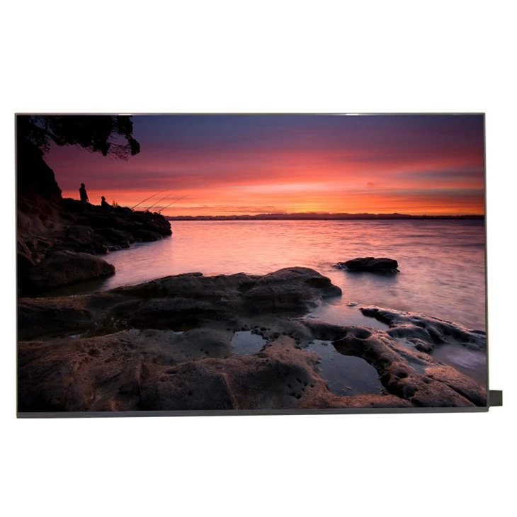 Schermo LCD touch da 14,0 pollici PV140FHM-T02-3RA0