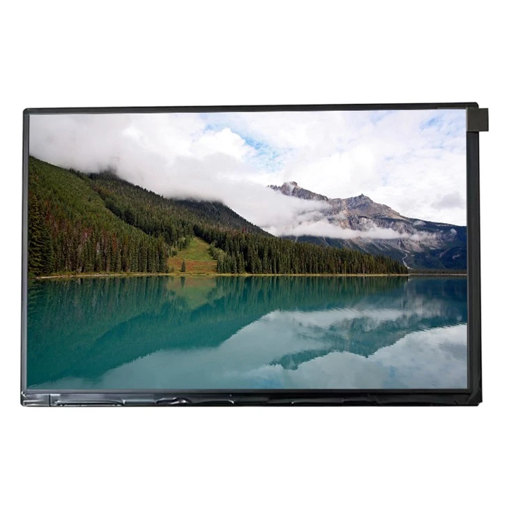 GV101WXM-N12 Nuovo display LCD originale da 10,1 pollici 1280*800